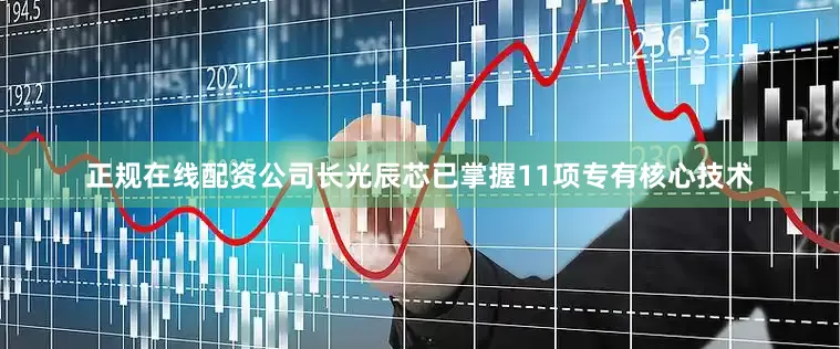 正规在线配资公司长光辰芯已掌握11项专有核心技术