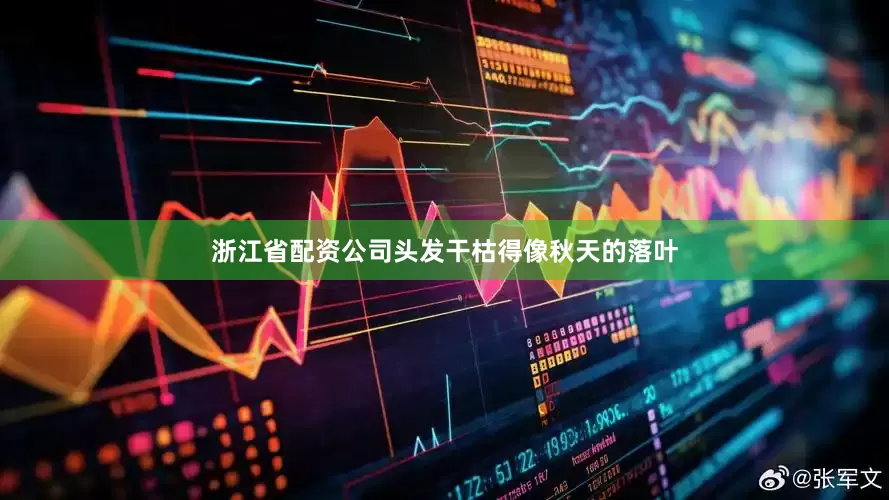 浙江省配资公司头发干枯得像秋天的落叶